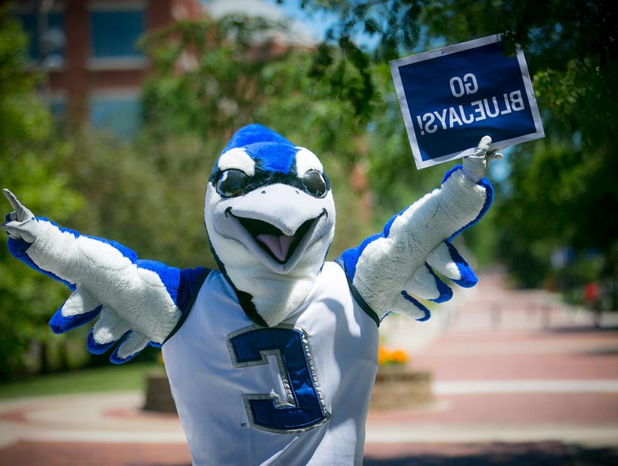 Creighton's mascot Billy Blujay